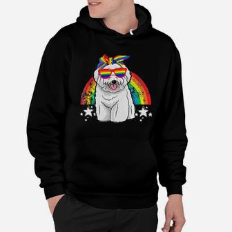 Lgbt Bichon Frise Dog Gay Pride Rainbow Hoodie - Monsterry AU