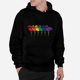 Lgbt Flamingo Rainbow Gay Lesbian Pride Gift Hoodie - Monsterry UK