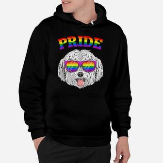 Lgbt Maltese Dog Gay Pride Rainbow Lgbtq Cute Gift Hoodie - Monsterry CA