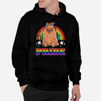 Lgbt Pomeranian Dog Gay Pride Rainbow Hoodie - Monsterry