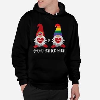 Love Is Love Gnome Matter What Gay Meme Hoodie - Monsterry UK
