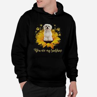 Maltese You Are My Sunshine Hoodie - Monsterry CA