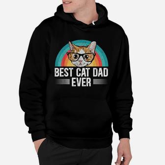 Mens Best Cad Dad Ever For A Cat Daddy Cat Lovers Hoodie | Crazezy AU