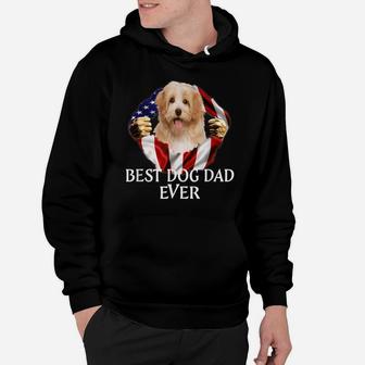 Mens Best Dog Dad Ever Cavachon Dog American Flag Hoodie | Crazezy