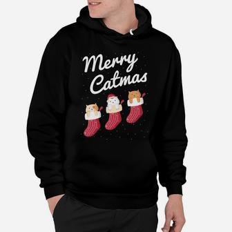 Merry Catmas Christmas Cats In Socks Kitty Cat Lover Gift Hoodie | Crazezy AU