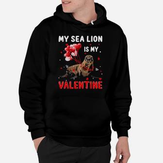 My Sea Lion Is My Valentine Apparel Animals Lover Gifts Women Hoodie - Monsterry AU