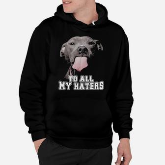 Pitbull To All My Haters Hoodie - Monsterry DE