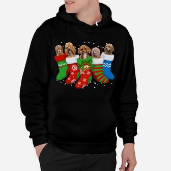 Poodle Christmas Sweater Poodle Dog Cute Socks Xmas Gift Sweatshirt Hoodie | Crazezy