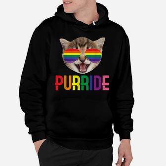 Purride | Cute Funny Lgbqt Cat Lovers Gift Hoodie | Crazezy UK