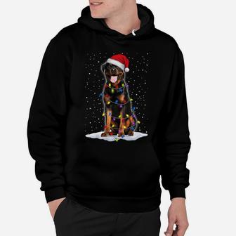 Rottweiler Santa Christmas Tree Lights Xmas Gifts Hoodie | Crazezy AU