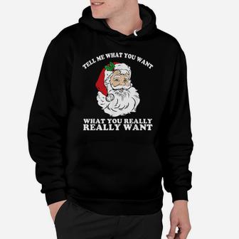 So Tell Me What You Want Really Really Want Santa Hoodie - Monsterry CA