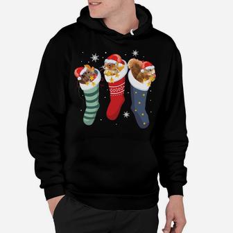 Squirrel Socks Funny Cute Pet Christmas Xmas Sweatshirt Hoodie | Crazezy AU