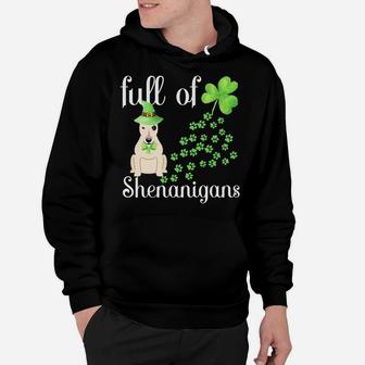 St Patricks Day Bull Terrier Shirt Dog Shamrocks Green Paw Hoodie | Crazezy