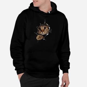 Sweet Kitten Torn Cloth Funny Cat Lover Cat Owner Cat Lady Hoodie | Crazezy CA