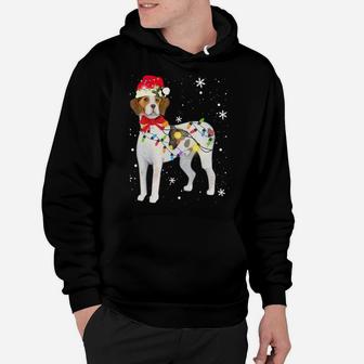 Treeing Walker Coonhound Dog Christmas Xmas Mom Dad Gifts Sweatshirt Hoodie | Crazezy