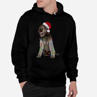 Wirehaired Pointing Griffon Christmas Lights Xmas Hoodie | Crazezy