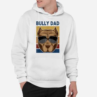 Bully Dad Funny American Bully Dog Owner Dog Dad Fathers Day Hoodie | Crazezy
