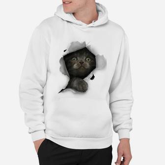 Cat Shirt, Gray Cat Tshirt, Cat Torn Cloth Shirt, Kitten Hoodie | Crazezy UK