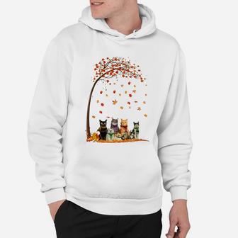 Cats Fall Autumn Leaf Tree Funny Cat Lovers Gifts Hoodie | Crazezy CA