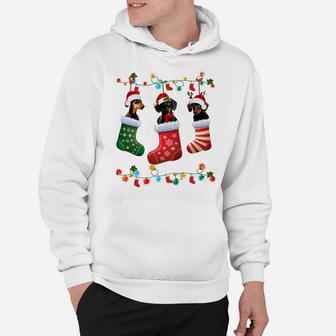 Dachshund Christmas Socks Funny Xmas Pajama Dog Lover Gift Sweatshirt Hoodie | Crazezy AU