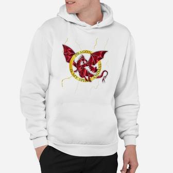 Fantasy Lover Dragon Is My Spirit Animal Graphic Design Hoodie | Crazezy