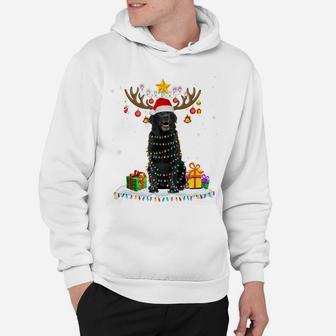 Funny Black Lab Dog Christmas Tee Reindeer Christmas Lights Hoodie | Crazezy DE