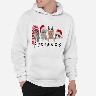 Funny Cat Furiends Merry Christmas Hat Santa Cat Lovers Gift Hoodie | Crazezy CA