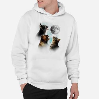 Funny Cat Tshirt, Cats Meowling At Moon Shirt, Cat Lover Hoodie | Crazezy UK