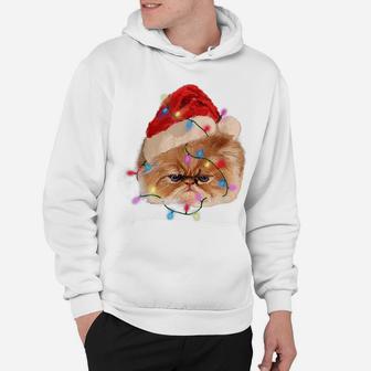 Funny Xmas Persian Cat Christmas Lights Adorable Face Fluffy Hoodie | Crazezy