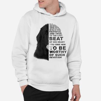 He Is Your Friend Your Partner Your Dog Newfoundland Dogs Sweatshirt Hoodie | Crazezy