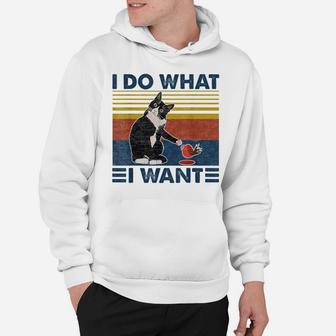 I Do What I Want Cat Vintage Funny Animal Kitty Lovers Tees Hoodie | Crazezy UK