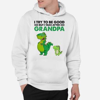 Kids I Try To Be Good But I Take After My Grandpa Dinosaur Hoodie | Crazezy CA