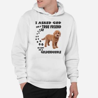 Mini Goldendoodle Quote Mom, Doodle Dad Art Cute Groodle Dog Hoodie | Crazezy