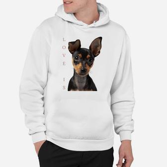 Miniature Pinscher Shirt Dog Mom Dad Tshirt Love Puppy Pet Hoodie | Crazezy DE
