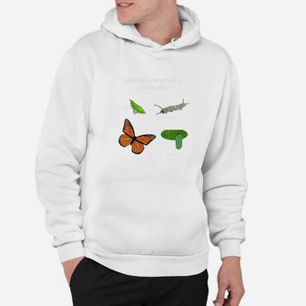 Monarch Butterfly Lifecycle Hoodie | Crazezy
