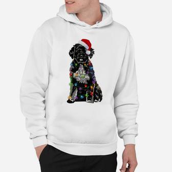 Portuguese Water Dog Christmas Lights Xmas Dog Lover Hoodie | Crazezy