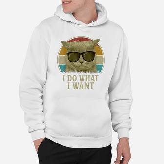 Retro 80S 90S Cat Lovers Funny I Do What I Want Cat Hoodie | Crazezy DE