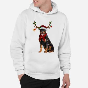 Santa Rottweiler Reindeer Light Christmas Gifts Sweatshirt Hoodie | Crazezy UK