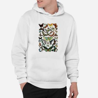 Vintage Butterflies Butterfly Collection Hoodie | Crazezy UK
