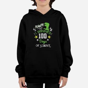 Rawr I Survived 100 Days Of School Trex Dinosaur Youth Hoodie - Seseable