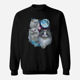 3 Moon Cat Feline Lovers Kitten Adorable Kitty Cat Novelty Sweatshirt | Crazezy