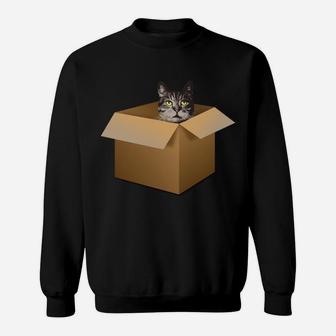 A Cat In A Box Hilarious Cat Lovers Tshirt Kitty Cat Moms Sweatshirt Sweatshirt | Crazezy CA