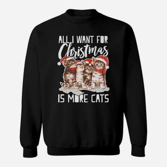 All I Want For Christmas Is More Cats Funny Sweatshirt | Crazezy DE