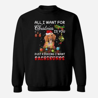All I Want For Xmas Is You Just Kidding I Want Dachshund Sweatshirt - Monsterry