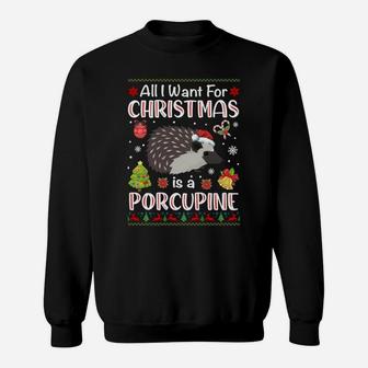 All I Want Is A Porcupine For Christmas Ugly Xmas Pajamas Sweatshirt Sweatshirt | Crazezy