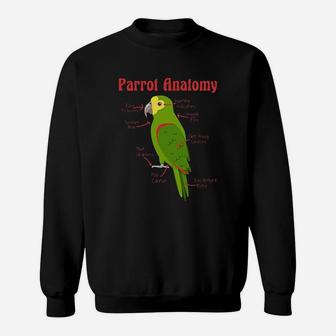 Anatomy Of An Amazon Parrot Sweatshirt - Thegiftio UK