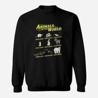 Animals Of The World Trash Panda Danger Noodle Sweatshirt | Crazezy AU