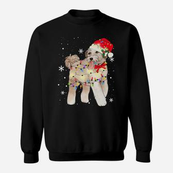 Aussiedoodle Dog Christmas Light Xmas Mom Dad Gifts Sweatshirt | Crazezy DE
