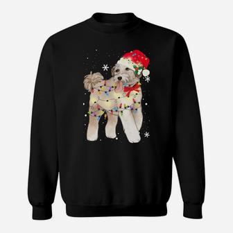 Aussiedoodle Dog Christmas Light Xmas Mom Dad Gifts Sweatshirt | Crazezy