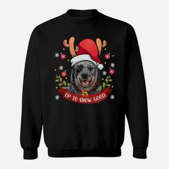 Australian Cattle Dog Blue Heeler Reindeer Christmas Sweatshirt | Crazezy